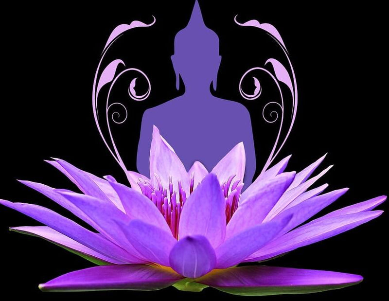 products/Lotus_Flower_Purple_Graphic_880x681_50K_1256afcb-7baa-404f-9494-0b235e7795a4.jpg